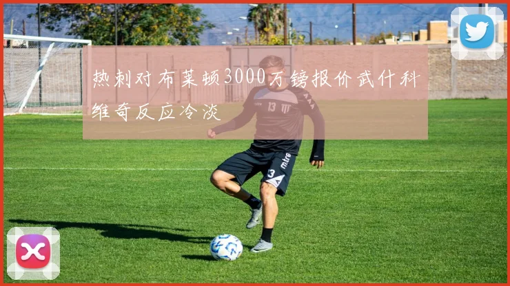 热刺对布莱顿3000万镑报价武什科维奇反应冷淡