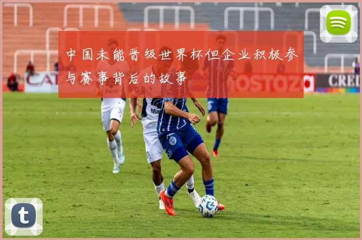 中国未能晋级世界杯但企业积极参与赛事背后的故事
